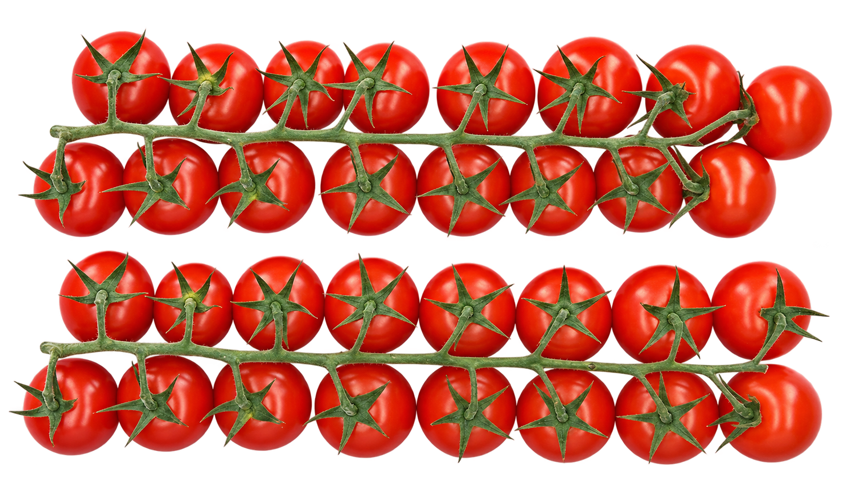 Fresh tomatoes