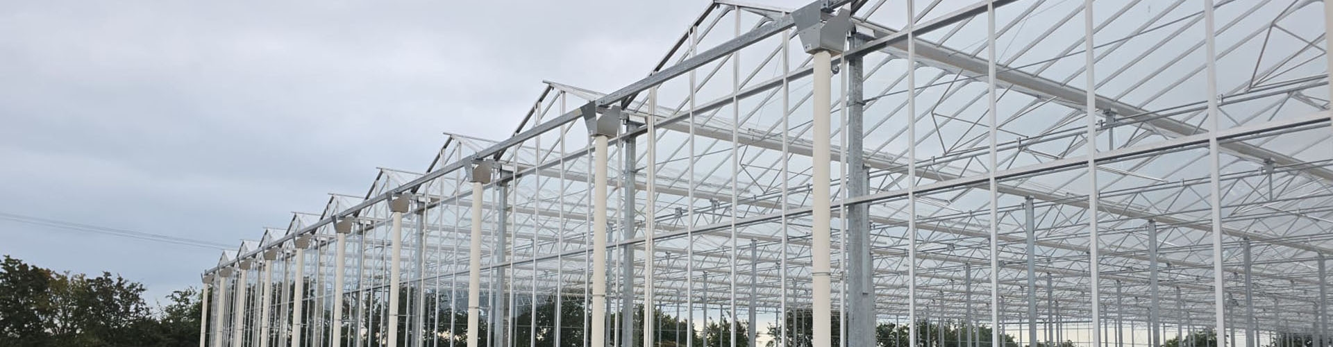 Greenhouse frame associated with the Ireland strawberry project archive