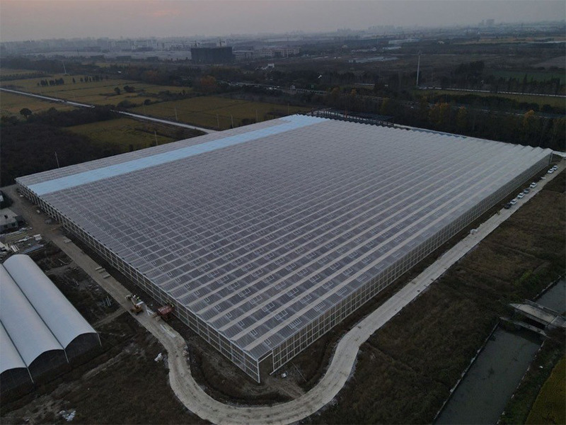 Aerial view of a greenhouse structure associated with the leafy-green project archive