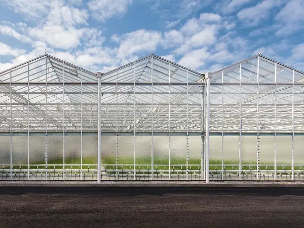 GrowPro Glass All CLimate Greenhoouse