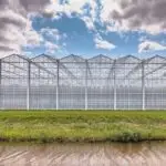Venlo Glass Greenhouse